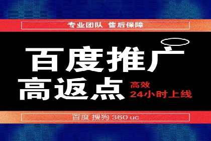 百度推广案例：成功打造行业领军品牌